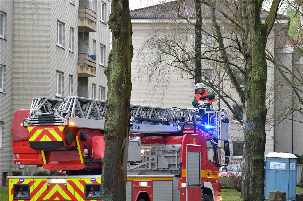 Sturm Sabine verunsichert einige Eltern: Kinder kamen trotz Unterrichtsfrei zur Schule Die Feuerwehr war am Montag (10.2.) weiter im Sturmeinsatz. An der Moltkestraße drohte ein Ast auf die Fahrbahn zu fallen.