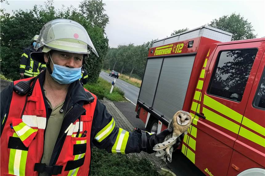 Feuerwehr befreit Eule aus Leitung -trotzdem trauriges Ende Die Feuerwehr Werne musste eine Eule aus einer misslichen Lage befreien.