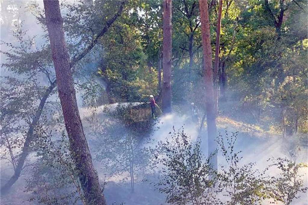 Großeinsatz: Über 10.000 Quadratmeter Wald standen am Silbersee 3 in Flammen Die Feuerwehrleute gingen im Gelände gezielt vor.