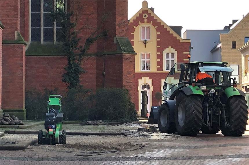 Vier gefällte Linden an der Halterner Sixtus-Kirche werden ersetzt Die Firma Vofrei aus Lavesum fällte vier Linden an der Sixtus-Kirche.
