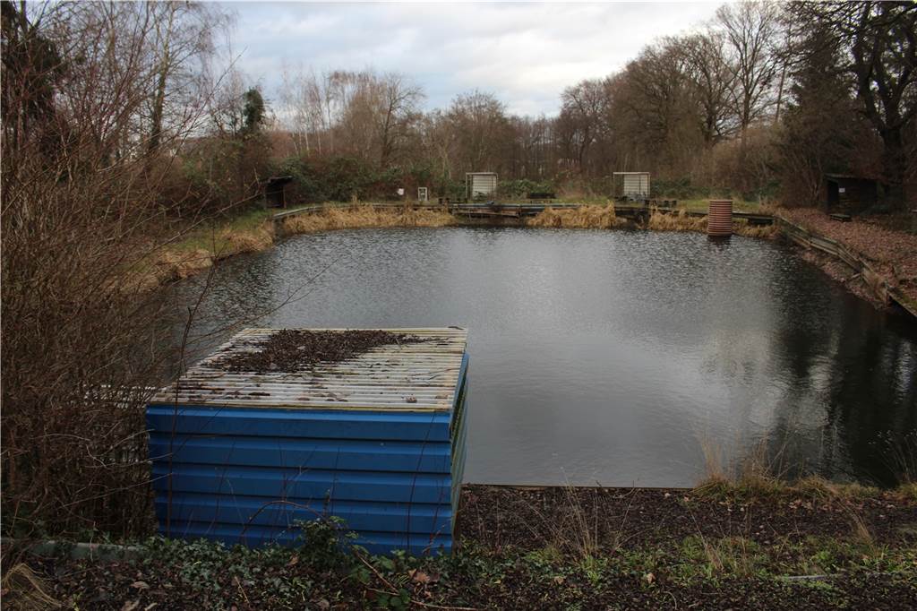 Nach nur einem Jahr: Angelparadies Brandheide hat wieder geschlossen Die Fischteiche liegen verlassen da.