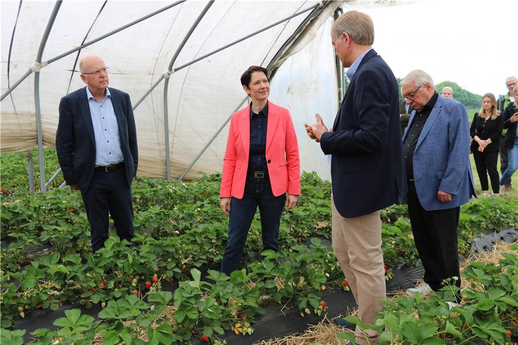 Erdbeersaison eröffnet: NRW-Ministerin besuchte Schmücker Hof Silke Gorißen lässt sich die Hofphilosophie von Eberhard Schmücker erklären.