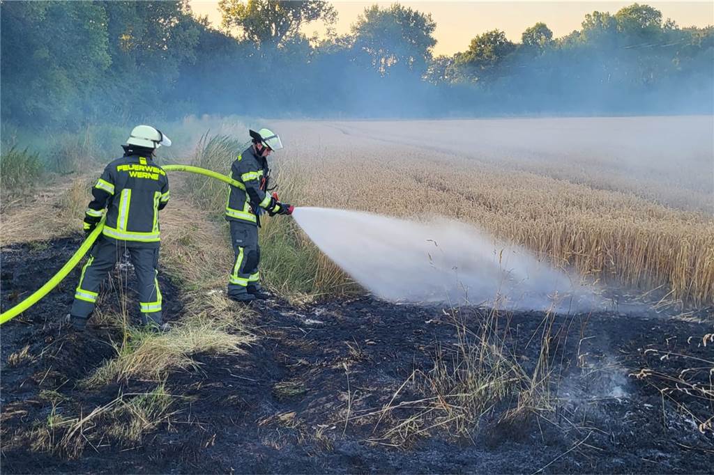 Leiter der Feuerwehr blickt auf turbulentes Jahr 2022 zurück Die Freiwillige Feuerwehr löscht ein brennendes Feld.