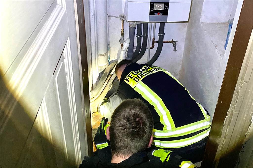 Freiwillige Feuerwehr ist im Dortmunder Westen als Tierretter gefragt Die Freiwillige Feuerwehr Lütgendortmund brauchte viel Geschick, um den Igel zu befreien.