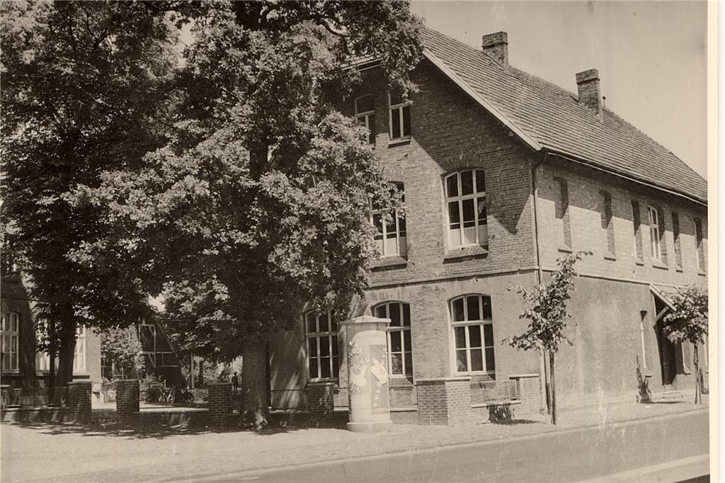 Die Friedenseiche an der alten Schule in Oeding musste 1965 dem Straßenbau weichen.