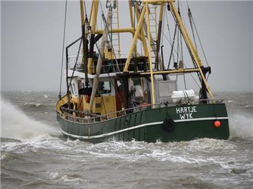 Die für Deutschland wichtigen Nordsee-Fangmengen (Quoten) sind nach Angaben aus Verhandlungskreisen wenig umstritten. Foto: Carsten Rehder