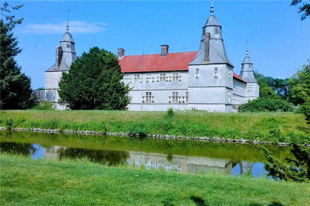 Die Gänse-Zahl am Schloss Westerwinkel nahm so überhand, dass zahlreiche Tiere geschossen wurden.