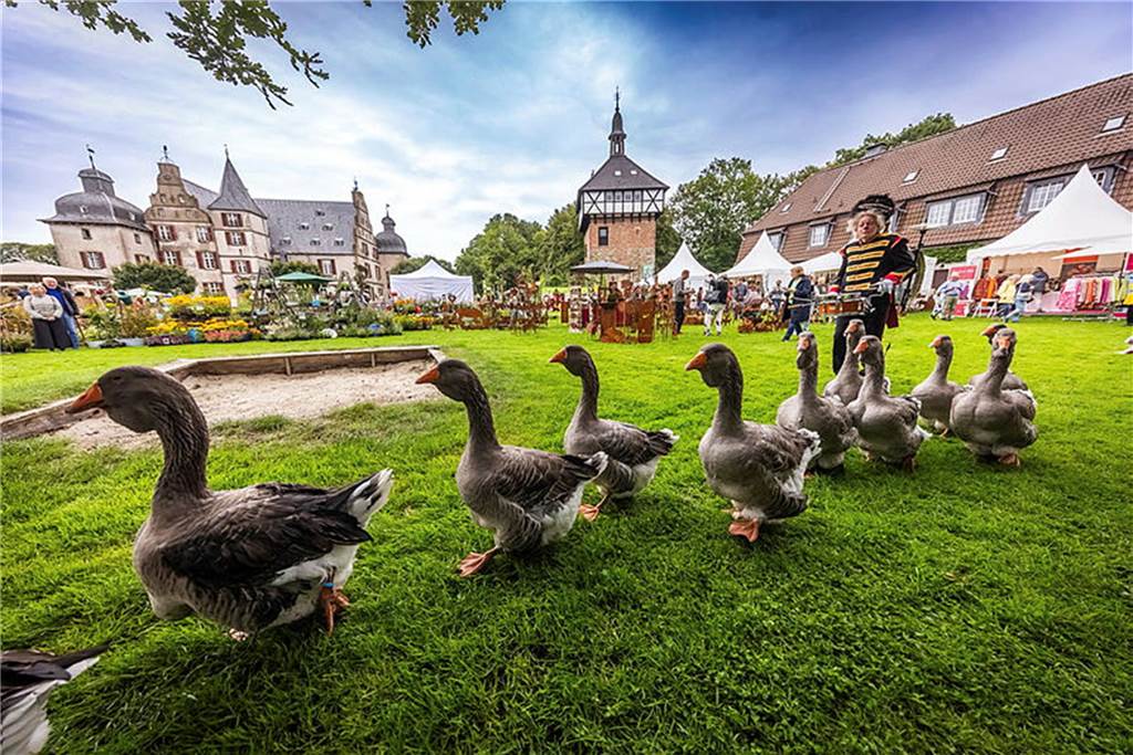 Die Gartenflair auf Schloss Bodelschwingh findet 2023 zum zehnten Mal statt.