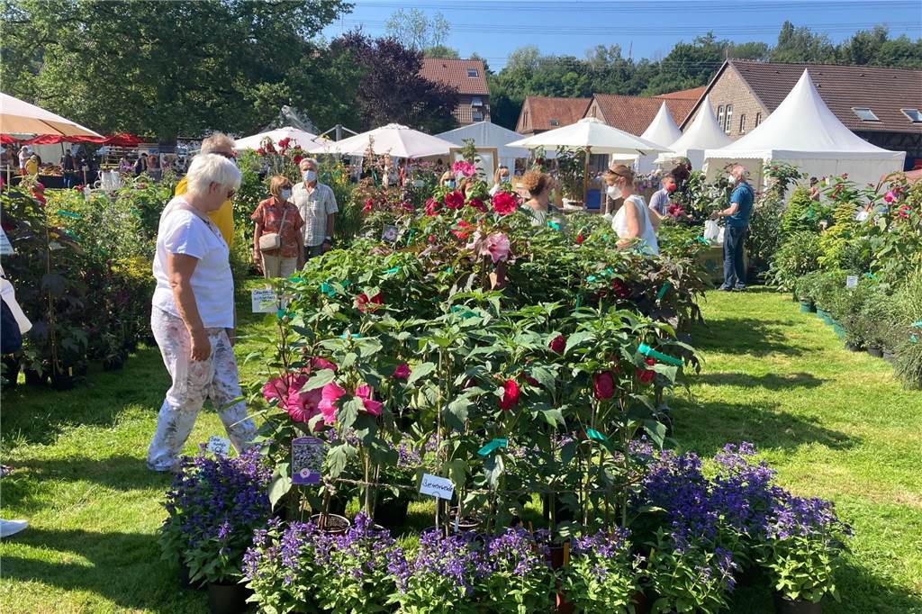 Wiedersehensfreude bei der Gartenflair am Schloss Bodelschwingh Die Gartenflair macht auch mit vielen Pflanzenangeboten ihrem Namen alle Ehre.