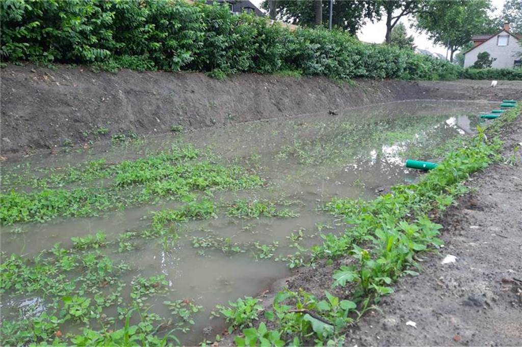 Familie Bonau und ihr (Alb-)Traum von der Doppelhaushälfte in Castrop-Rauxel Die Gartenmulde hat sich an manchen Wintertagen beträchtlich mit Wasser gefüllt. Das ist ein gefährlicher Abenteuerspielplatz, im Garten will das niemand haben.