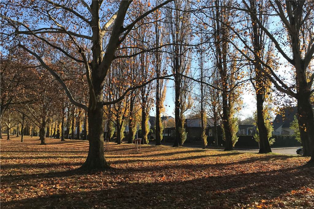 Gartenstadt: Familienfreundlich, aber es mangelt an Gastronomie und Arztpraxen Die Gartenstadt bietet viele Möglichkeiten zum Spazierengehen. Das lobt auch Simone Danelsing: "Es ist schön grün hier."