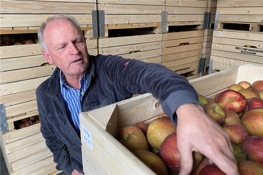 Apfelernte in Bork: So groß ist der Aufwand für leckere Äpfel Die geernteten Äpfel werden in riesigen Holzkisten gekühlt gelagert, damit sie auch in Wochen noch frisch sind.