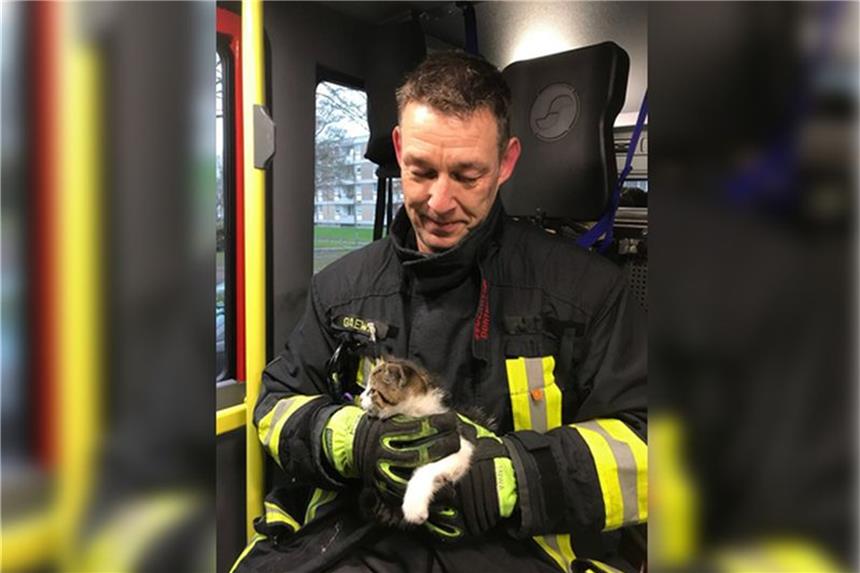 Die gerettete Katze auf dem Weg zur Feuerwache in Scharnhorst.