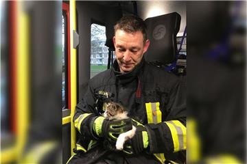Die gerettete Katze auf dem Weg zur Feuerwache in Scharnhorst.