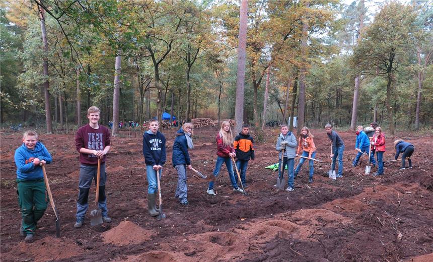 300 Gesamtschüler pflanzen Bäume für Volksbankwald Die Gesamtschüler mussten bei den Vorbereitungen für den Volksbankwald ordentlich graben und einpflanzen.