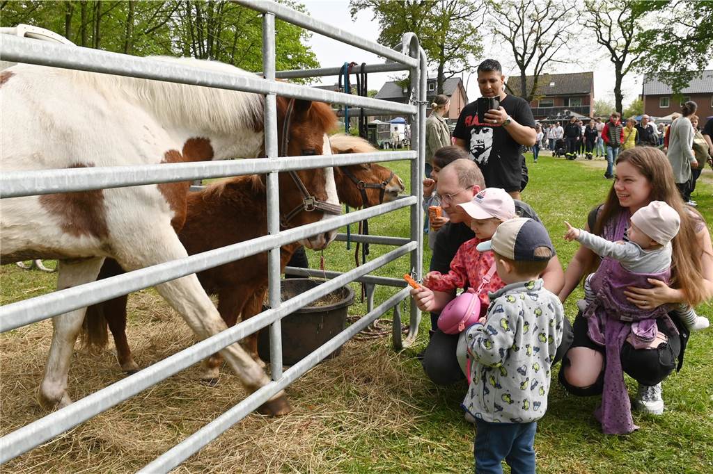 Verkaufsoffene Sonntage: „Trading-Down-Effekt“ in der Altstadt Die Geschäfte öffnen in Lembeck während des Tiermarktes am 5. Mai.