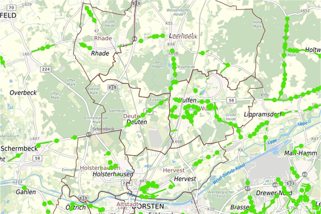 „Baum-Lücken schnell schließen“: Politik will Alleen zu Hilfe kommen Die grün-strichelten Linien zeigen die Alleen in Dorsten an.