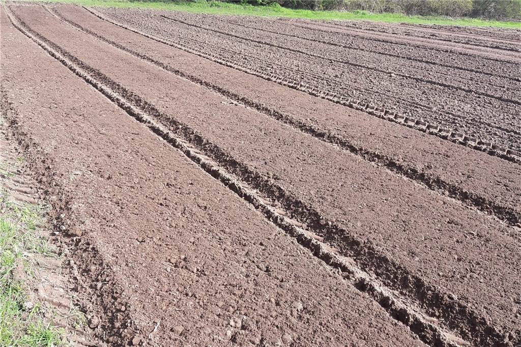 Die „Grünen Zellen" am Rotthoffs Hof sind startklar und warten auf Mieter. Die Kartoffeln sind bereits im Boden.