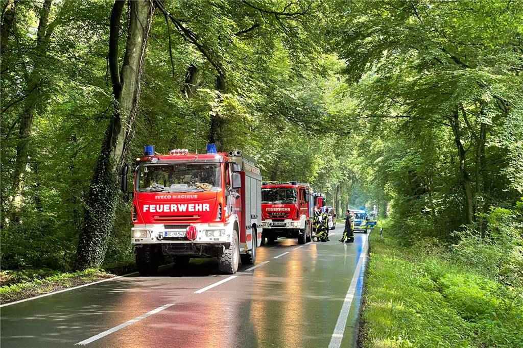 Unwetterwarnung: Äste krachen auf Rekener Straße - Straße war gesperrt Die Halterner Feuerwehr hat auch noch die Freiwillige Feuerwehr Lavesum und den städtischen Bauhof als Unterstützung angefordert.