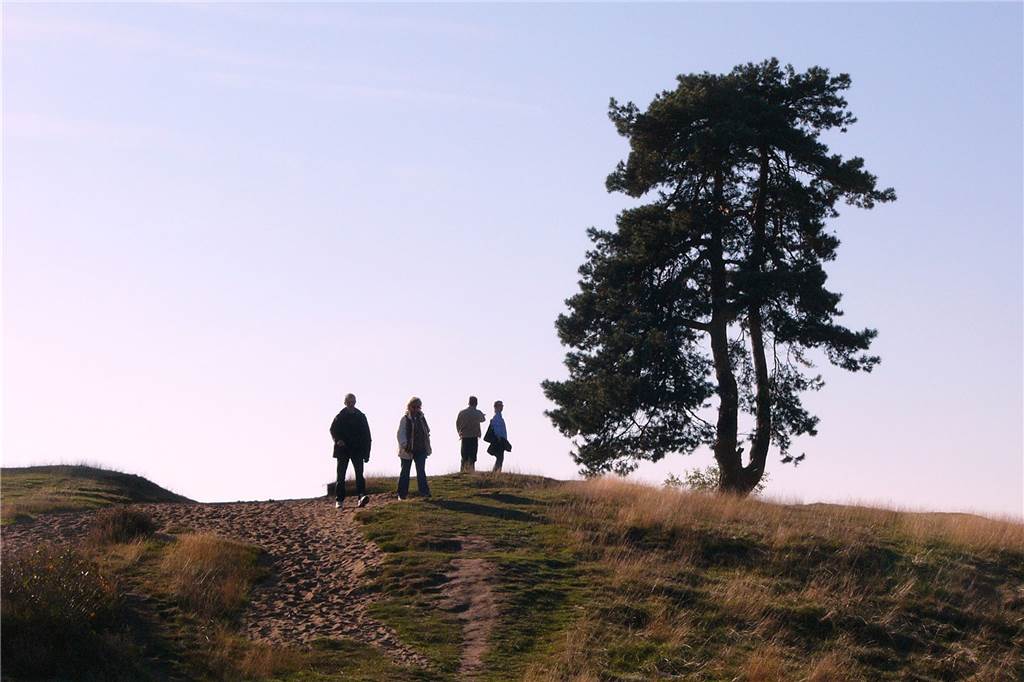 Alter Hase oder Lockvogel: Woher kommen diese Begriffe eigentlich? Spaziergang durch die Westruper Heide