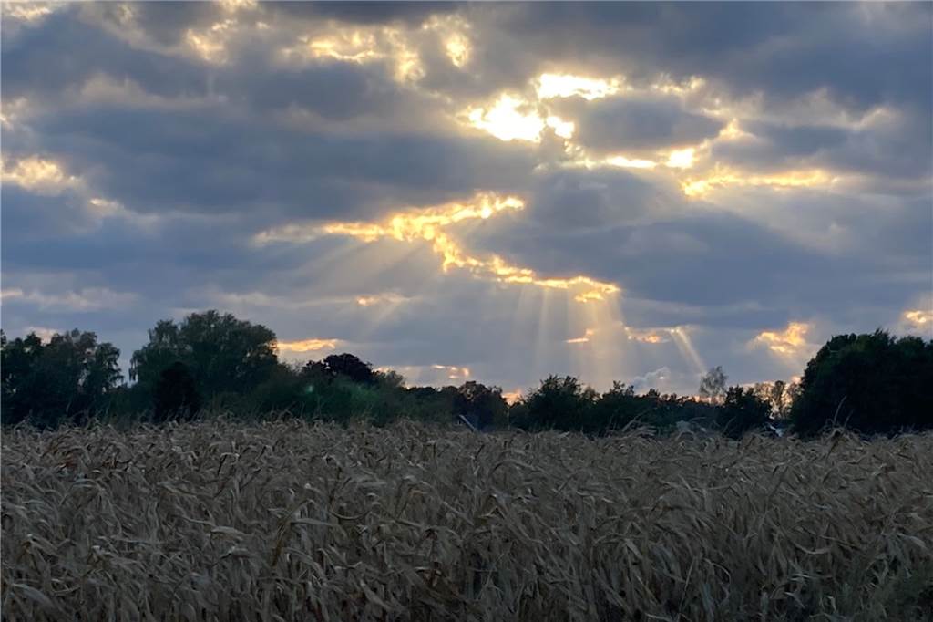 So schön ist der Herbst: Schicken Sie uns Ihre besten Fotos Sonnenstrahlen scheinen durch Wolken am Himmel über Bork.