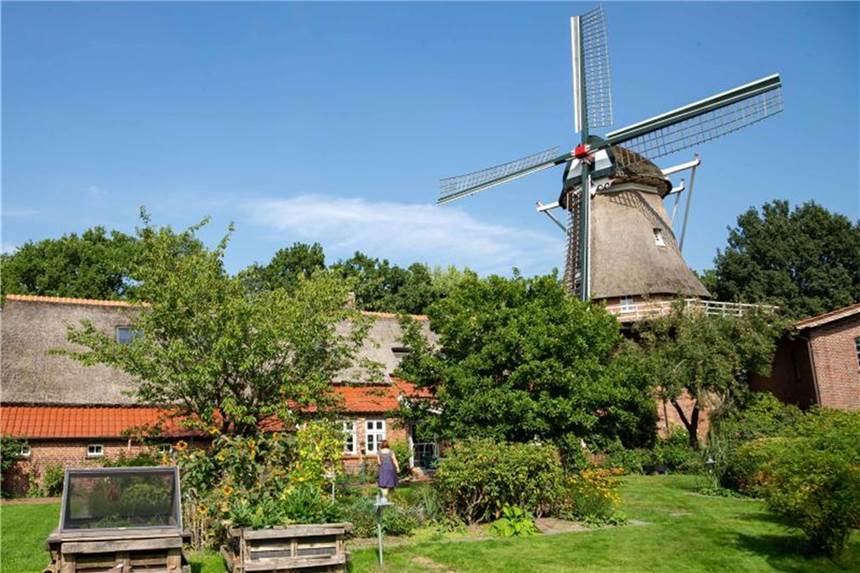 Die historische Windmühle „Felde“ mit historischem Bauernhaus und ehemaligem Packhaus. Foto: Mohssen Assanimoghaddam