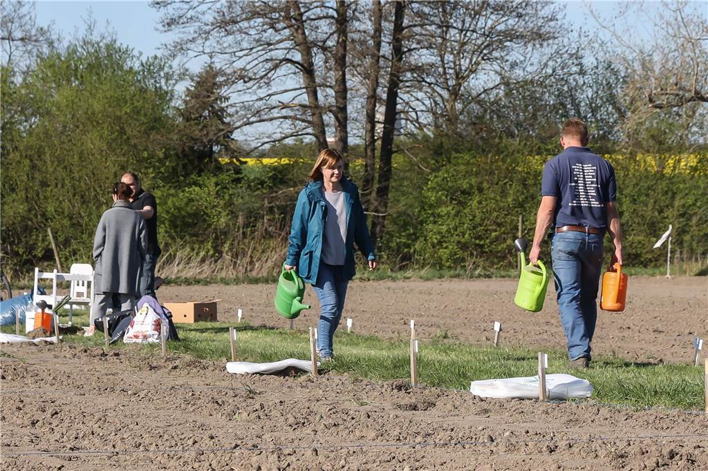 Gemüse anbauen ohne eigenen Garten - hier in Dortmund ist das möglich Die Hobby-Gärtner bekommen ihre Garten-Areale professionell vorbereitet übergeben. Die Samen sind dann bereits ausgesät, sodass sich die Mieter allein ums Gießen, Pflegen und Ernten kümmern müssen.