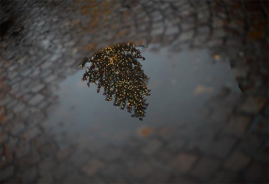 Kein Schnee, dafür Pollen: Was das warme Wetter aus Weihnachten macht Die hohen Temperaturen im Dezember verhindern nicht nur den Schnee zu Weihnachten, sondern stellen Allergiker auch vor Probleme.
