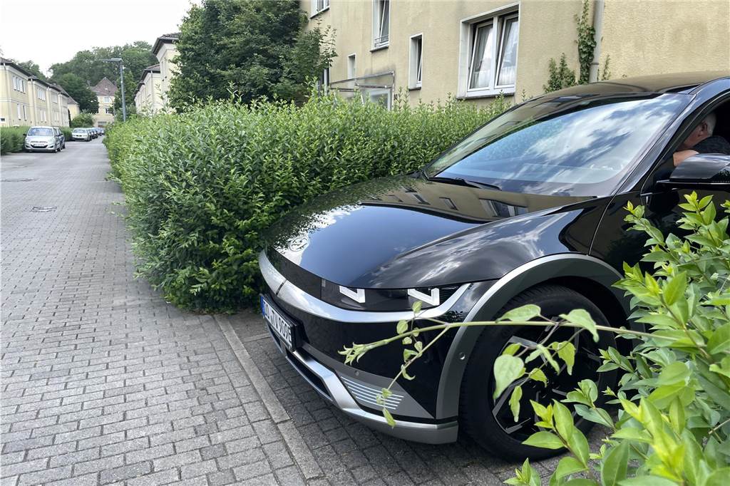 Wucher-Wahnsinn: Vivawest-Mieter sorgen sich um Kinder auf der Straße Die hohen und wuchernden Hecken an den Garagenausfahrten in der Straße "Im Wiesengrund" in Dorstfeld nehmen den Autofahrern die Sicht.