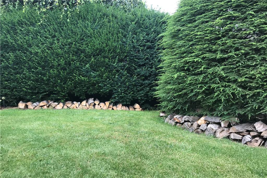 Garten-Serie: Wenn aus den Barhockern ein Parcours für den Hund wird Die Holzscheite schützen die Bäume.