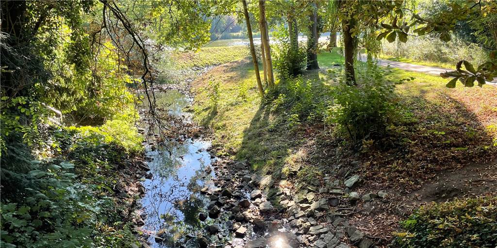 Rinnsal statt Fluss: Hitze setzt der Horne in Werne extrem zu Ein ausgetrockneter Fluss