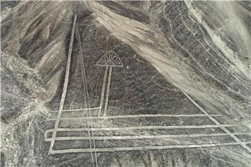 Die jetzt entdeckten Geoglyphen sollen zwischen 500 v. Chr. und 200 n. Chr. gezeichnet worden sein. Foto: Genry Bautista