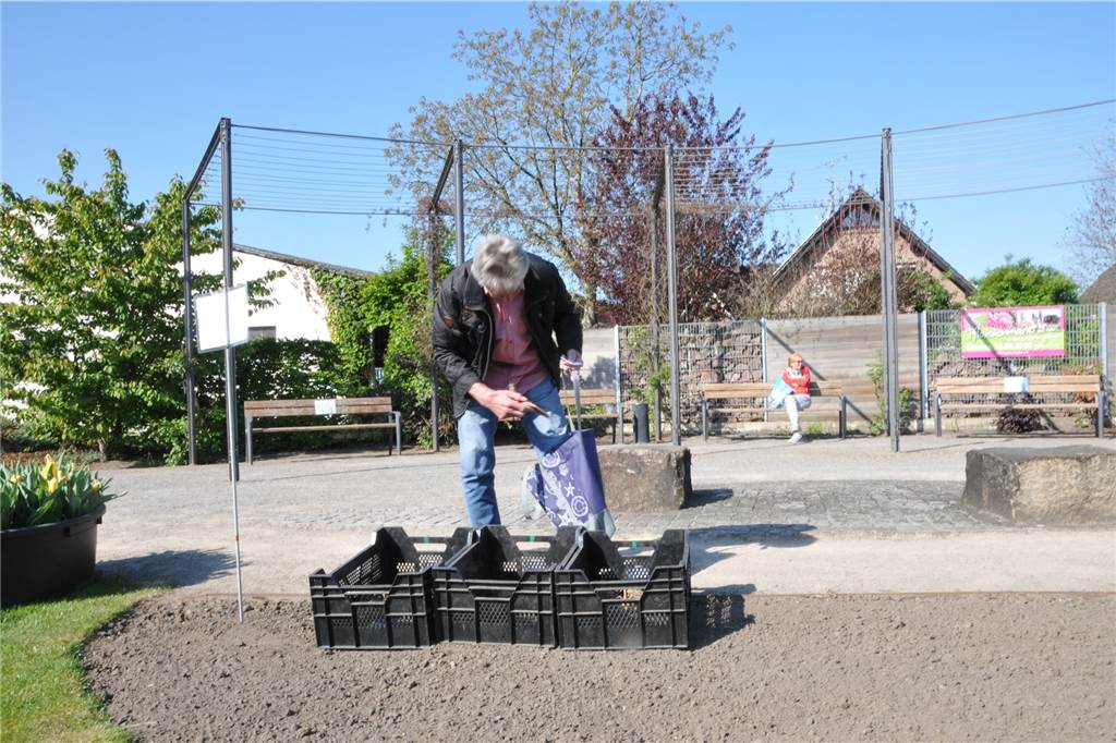 Die Kästen mit den Dahlienknollen waren mit großen Abständen im Dahliengarten verteilt.