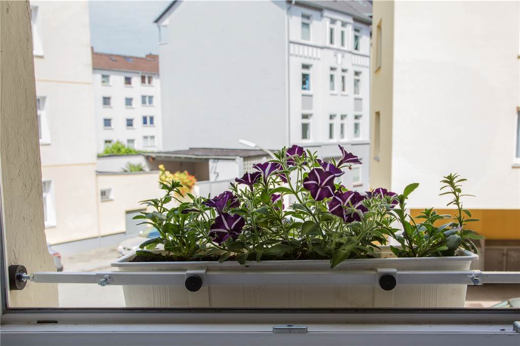 Aktion für mehr Blumenkästen: Spezialanfertigung bringt Grün ins Unionviertel Die Kästen werden mit einem Klemmmechanismus sicher befestigt.