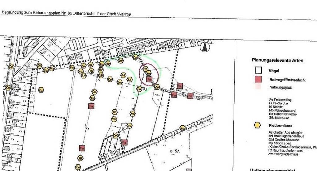 Stadt fällt irrtümlich drei Kopfweiden von Daniela Golembiewski Die Karte stammt aus der "Begründung zum Bebauungsplan Nr. 85 ,Altenbruch III' der Stadt Waltrop".