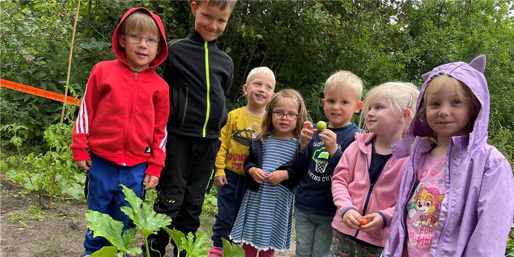 Acker im Stadtpark Südkirchen: Kita-Kinder ernten ihr Gemüse jetzt selbst Die Kinder der Kita Hoppetosse haben auf ihrem Stück Acker im Stadtpark in Südkirchen Gemüse angepflanzt. Die ersten Zucchini sind schon geerntet.