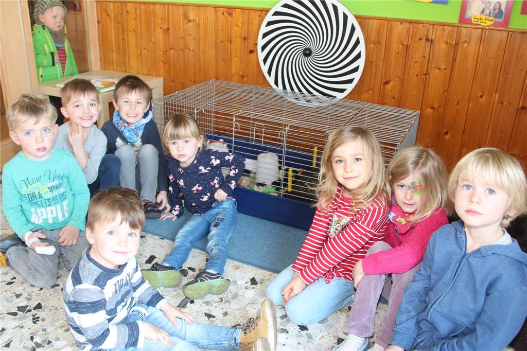 Flauschige Osterfreude: 23 kleine Küken sind im St. Marien Kindergarten geschlüpft Die Kindergartenkinder des Kindergartens St. Marien verfolgen fasziniert, pünktich zur Osterzeit, die Geburt kleiner Küken.