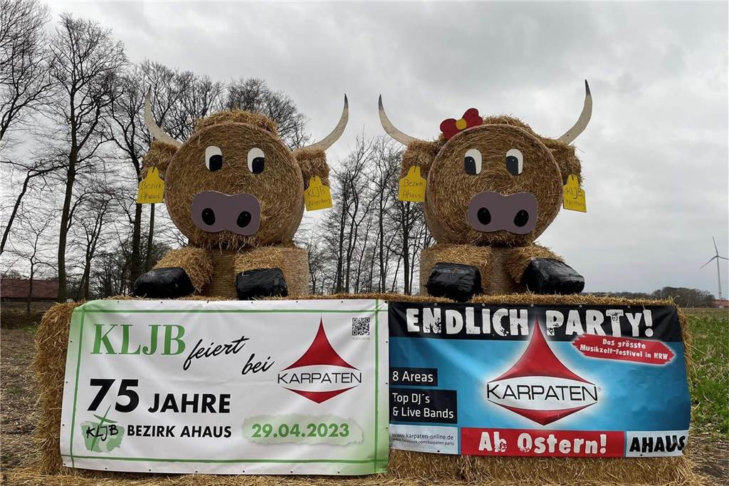 Die KLJB Nienborg hat diese Longhorn-Rinder aus dem Stall geholt und auf dem Acker aufgestellt. 