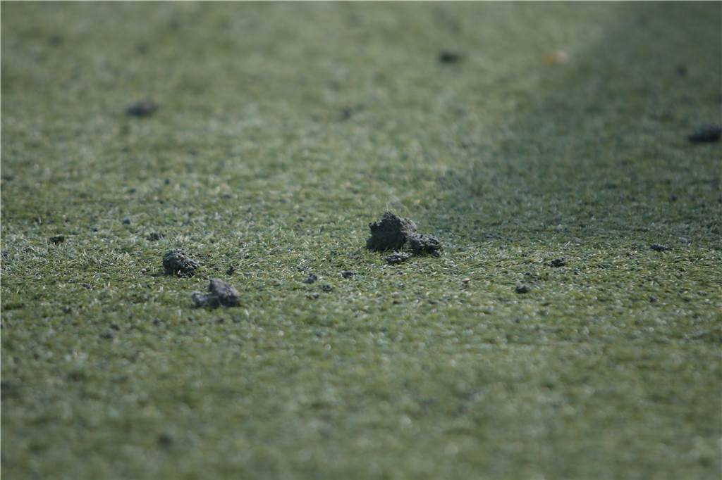 Klumpenbildung in Olfen: Steverstadt ist kein Einzelfall - mehrere tausend Euro Kosten? Die Klumpen liegen überall auf dem Platz herum.