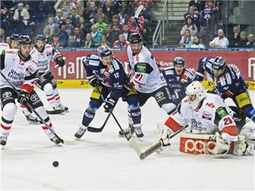 Die Kölner Haie gewannen bei den Eisbären Berlin das entscheidende Spiel 7. Foto: Gregor Fischer