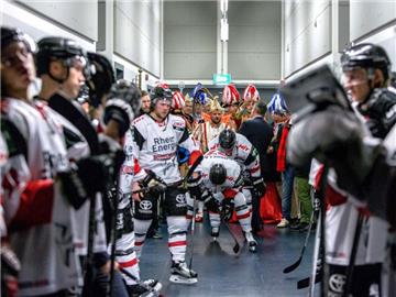 Die Kölner Haie haben einen neuen Trainer verpflichtet. Foto: Maja Hitij