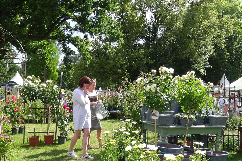 Bei der Landpartie auf Schloß Lembeck sind Pflanzen der Renner (mit Video) Die Landpartie lädt auf Schloss Lembeck ein.