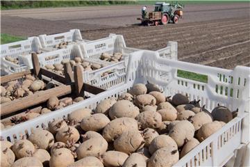 Die Lebensmittelpreise könnten steigen, weil europäische Bauern weniger Geld aus Brüssel bekommen. Foto: Julian Stratenschulte