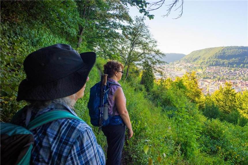19 neue Qualitätswanderwege ausgezeichnet Die „Löwenpfad“ Weitblick-Tour gehört zu den 19 neu ausgezeichneten Qualitätswanderwegen. Foto: Stadt Geislingen an der Steige