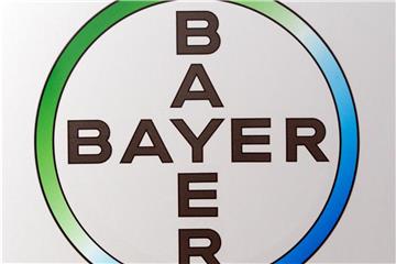 Die Logos der Firmen Bayer und Monsanto. Foto: Peter Endig; MAja Hitji/Archiv