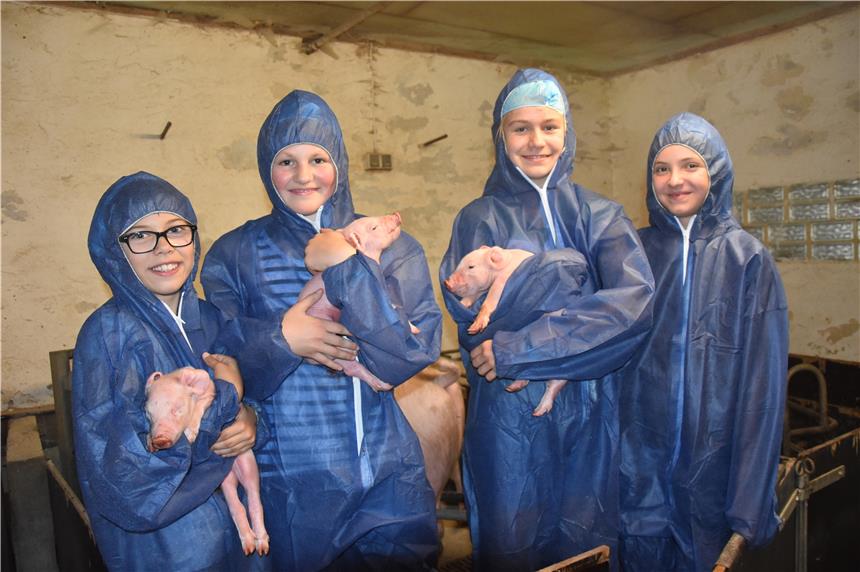 Schüler erleben Unterricht zum Anfassen auf Hof Kruckenbaum Die Mädchen interessierten sich vor allem für die neugeborenen Ferkel.