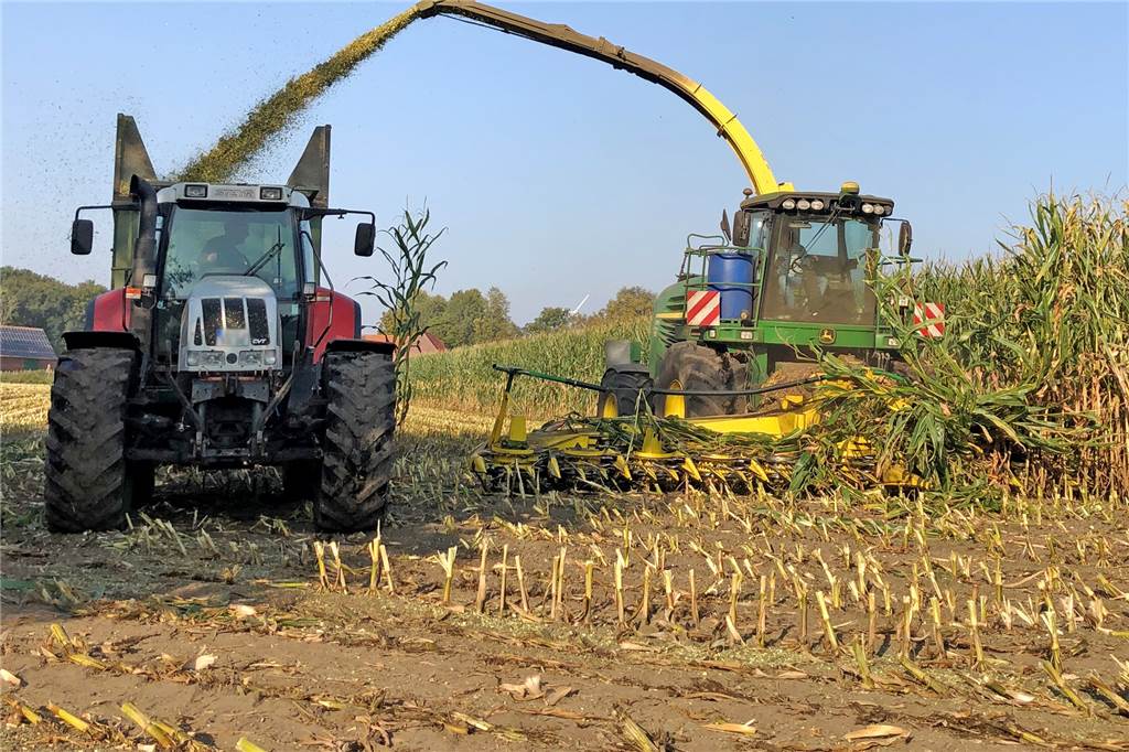Dürresommer schmälern die Ernte und lassen Landwirte neue Wege suchen Die Maisernte (hier in Sabstätte) ist zurzeit in vollem Gange.