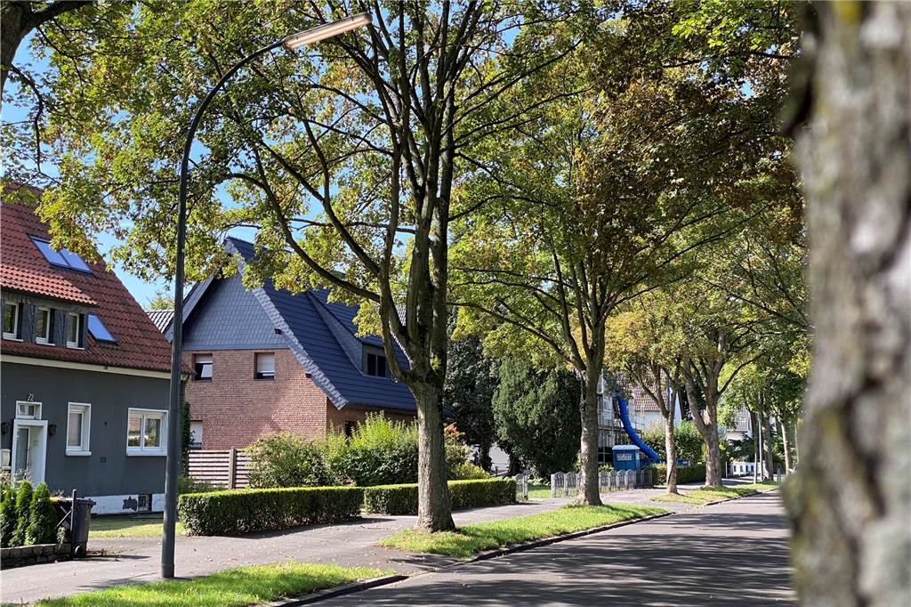 Die Mergelkuhle in Dortmund-Nette ist eine Allee. Einige Leuchten sind dauerhaft eingeschaltet.