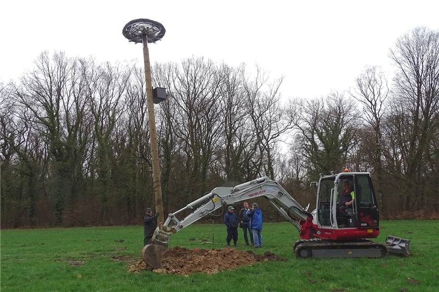 Naturfreunde bauen ein Nest für kleine Störche Die Mitglieder des Naturlehrpfads Alte Körne haben ein Storchennest im Naturschutzgebiet aufgestellt.
