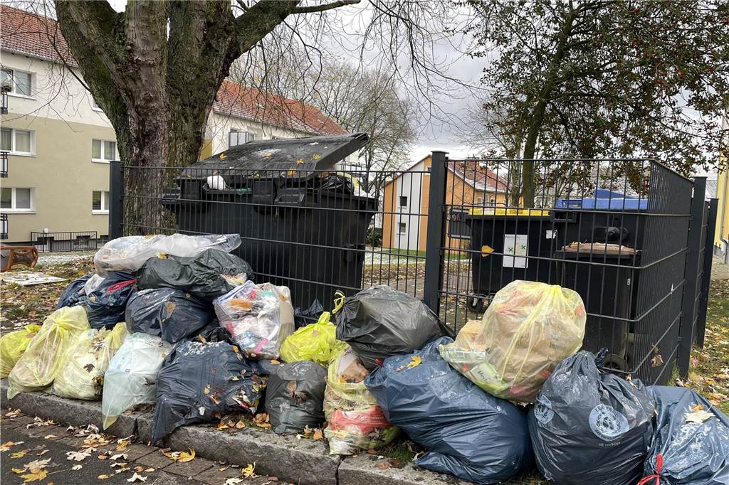In der Lippmannstraße gibt es seit einem Jahr ein großes Müllproblem.